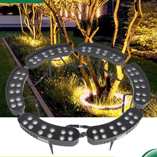 🌳 50% OFF NOW! 💡